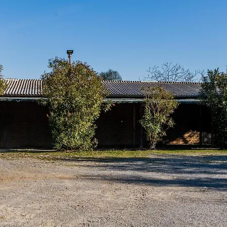 Agroturismo Podere I Sodi Magliano in Toscana