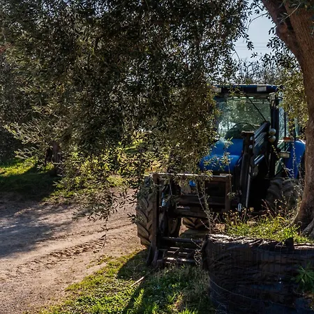 Podere I Sodi