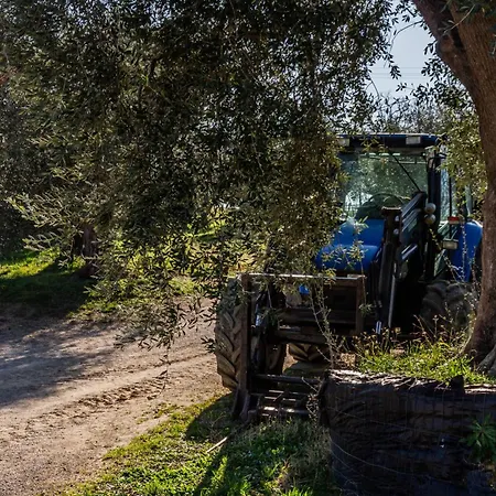 Podere I Sodi *